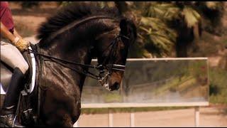 Ravel - Hall Of Fame Dressage Horse