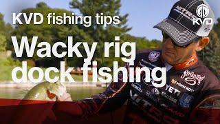 Wacky rig fishing tips / Ocho - with KVD