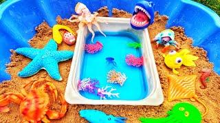 Sea Animal Toy Sand Fun | Learn Sea Animal Names: Jellyfish Crab Eagle Ray