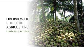 Lecture 13: Overview of Philippine Agriculture