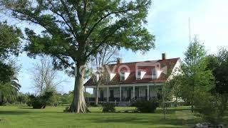 Louisiana Woodland Plantation 1834