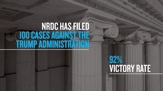 NRDC’s Lawyers Are Persistent—and Effective