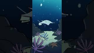 Sixgill Stingray  #animation #original #cartoon