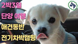 봉구와 떠나는 2박3일 단양여행 애견동반 토레스evx 차박캠핑/단양여행/무지개오토캠핑/단양구경시장/원시인마늘떡갈비/냉천막국수 / 충주댐벚꽃길 /카페산/도담삼봉