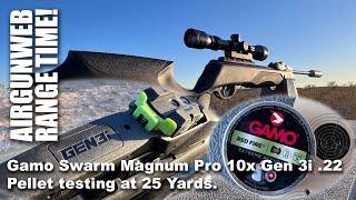 Gamo Swarm Magnum Pro 10x Gen 3i .22 Pellet Testing at 25 yards.  Can I shoot a decent Group?