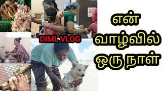 Day in my life | vlog | Diml vlog | tamil | lifestyle | sad day | AP |