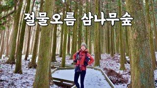 [Hiking] 제주 절물자연휴양림 절물오름 등산 | 한라산 풍랑주의보로 통제되어 윗세오름 대신 절물오름 다녀왔어요ㅋㅋ | 제주 삼나무숲 힐링 산책코스 | 제주 오름트레킹 추천