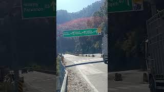 Shimla Chandigarh hiway shamlech#sarita #yogi #youtube #short #video