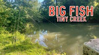 Creek fishing with worms (2 SURPRISE CATCHES!!)