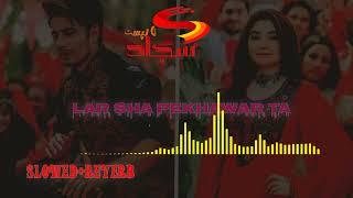 lar sha pekhawar ta | Slowed+reverb |Ali Zafar and Gul panra | 2022 |Sajjad typist|