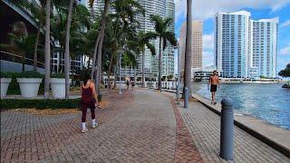 4K Brickell Neighborhood , Day After Milton , Fall Cycling Travel Tour , Miami FL  , October 10 2024