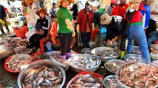 9 Kilo fish Market! Kilo 9 Market starts at 10 am  Many people rush to buy fish for resale