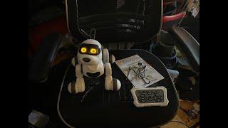 Interactive Remote Control Robot Dog By: #AOKID