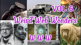 Weird Web Wonders: vol 6 Unraveling the Internet's Oddities!