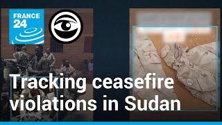 In Sudan, a citizen initiative monitors ceasefire violations • The Observers - France 24