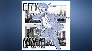 虎小島《City Ninja》