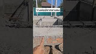 วางท่อปลวกหางดง #วางท่อปลวก #ป้องกันปลวก #ปลวก #ฉีดปลวก