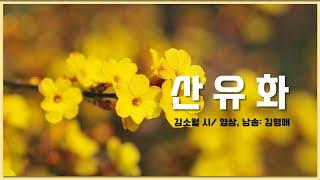 [시낭송] 산유화 - 김소월 시/ 영상, 낭송: 김명애 한국인이 가장 좋아하는 명시