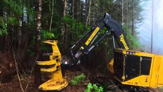 Tigercat LX830D Feller Buncher in Oregon