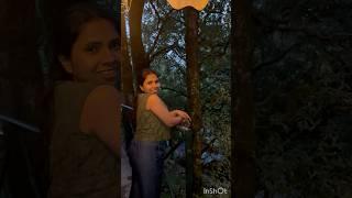 Trending song #shorts #ytshorts #mountains