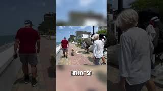 English Voices in Georgia: Unexpected Holiday Encounter