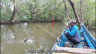 When the tide starts to go down, the fishing rod is hit by a series of fish.