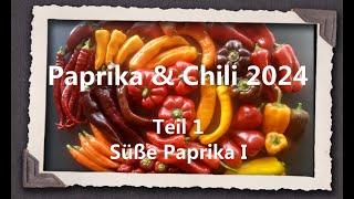 Paprika & Chili 2024 Teil 1 - Süße Paprika I