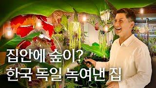 거실 바닥을 뚫었다? 한국에 대한 자부심을 담아 지은 건축가 다니엘 텐들러 | 아파트 대신 50년 된 마당 있는 주택 대수선 | 가드닝 랜선집들이 집소개 인테리어 인터뷰 행가집