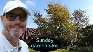 My new life in France - Make way for the sunshine  - Episode 711