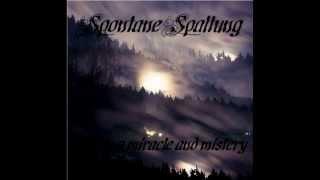 Spontane Spaltung - Bier (Just The Way You Are Cover)