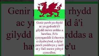 The Welsh Language - Chanukah #shorts 8/8 #welsh #cymraeg #wales