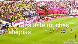 Solo para americanista de corazon