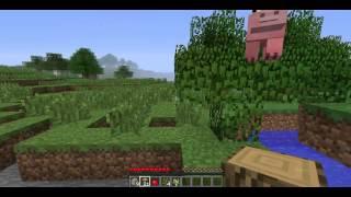 Minecraft Survival: Found an awesome village!