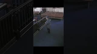 Suspect Escapes From Courtroom