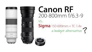 NEW Canon RF 200-800 vs Sigma 150-600 with TC 1.4x (210-840mm)