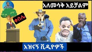 አለመሳቅ አይቻልም አዝናኝ ቪዲዮዎች|  Funny tiktok videos and Ethiopian REACTION with bossmen