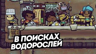 Oxygen Not Included  / В поисках водорослей