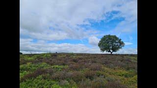 Exploring Eyam Moor, Wet Withens Stone Circle and Sir William Hill - Peak District Short Hike