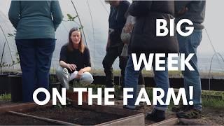 A busy week on the farm! Harvesting, cooking & farm tour.