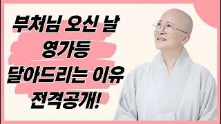 부처님 오신날 영가등 달아드리는 이유 전격공개 #불교#생활#법문[보현스님TV ]