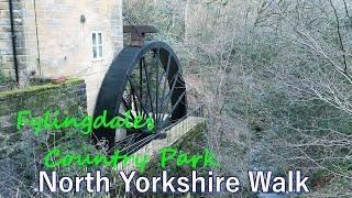 Fylingdales Country Park circular walk