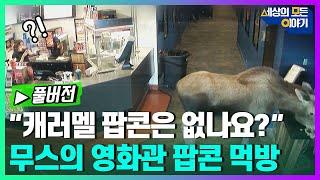[무삭제판] 세상의 모든 이야기 '세모이' ㅣ세모이 [68회] / YTN2
