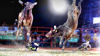 ¡¡¡ES UN TORAZO!!! EL SUSPENSO EN EL AIRE // Rancho el Aguaje en San Martin Otzoloapan Edo. Mex.