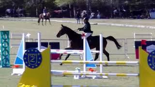 Carlos Scarano en Polo Jumping Tour