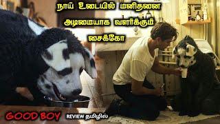 அதிர்ச்சியான கிளைமாக்ஸ் TWIST|TVO|Tamil Voice Over|Tamil Explanation|Tamil Dubbed Movies