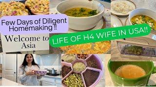 *FEW DAYS OF DILIGENT HOMEMAKING*CULTURE BLAST IN SCHOOL*LIFE OF H4 Wife in USA*INDIAN MOM USA VLOG