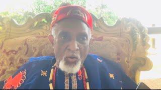 I became the traditional ruler of Oko because my brother Dr Alex Ekwueme was busy with politic.