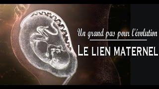 Un grand pas pour l'évolution - Le lien maternel