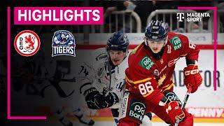 Düsseldorfer EG - Straubing Tigers | PENNY DEL | MAGENTA SPORT