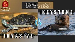 Invasive Vs. Keystone Species || UPSC Current Affairs || Shankar IAS Academy || Mains & Prelims '23